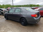 2010 Toyota Corolla Base Gray vin: 2T1BU4EE2AC523018