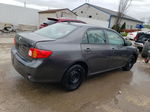 2010 Toyota Corolla Base Gray vin: 2T1BU4EE2AC523018