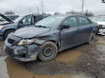 2010 Toyota Corolla Base Серый vin: 2T1BU4EE3AC241731