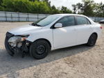 2010 Toyota Corolla Base White vin: 2T1BU4EE3AC296938