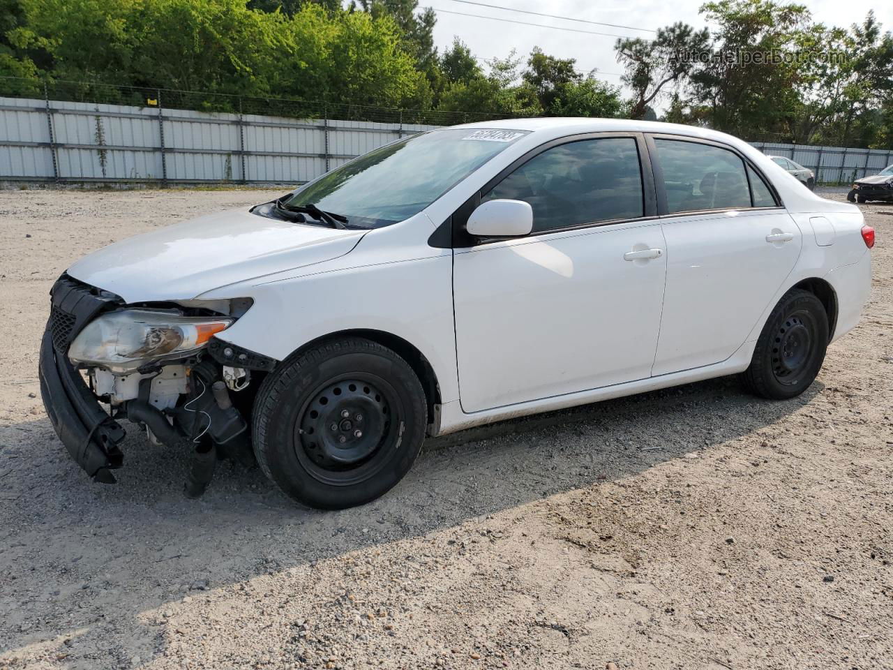 2010 Toyota Corolla Base Белый vin: 2T1BU4EE3AC296938