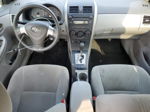 2010 Toyota Corolla Base Белый vin: 2T1BU4EE3AC296938