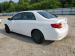 2010 Toyota Corolla Base White vin: 2T1BU4EE3AC296938