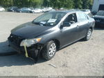 2010 Toyota Corolla Le Pewter vin: 2T1BU4EE3AC316931