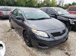 2010 Toyota Corolla Base Gray vin: 2T1BU4EE3AC368236