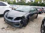 2010 Toyota Corolla Base Gray vin: 2T1BU4EE3AC368236