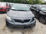 2010 Toyota Corolla Base Gray vin: 2T1BU4EE3AC368236