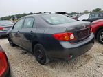 2010 Toyota Corolla Base Gray vin: 2T1BU4EE3AC368236