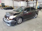 2010 Toyota Corolla Base Gray vin: 2T1BU4EE3AC444716