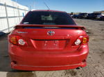 2010 Toyota Corolla Base Red vin: 2T1BU4EE3AC504736