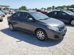 2010 Toyota Corolla Base Gray vin: 2T1BU4EE3AC525960