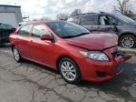 2010 Toyota Corolla Base Красный vin: 2T1BU4EE4AC364213