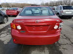 2010 Toyota Corolla Base Red vin: 2T1BU4EE4AC364213