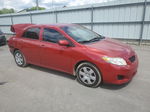 2010 Toyota Corolla Base Красный vin: 2T1BU4EE4AC385157