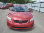 2010 Toyota Corolla Base Red vin: 2T1BU4EE4AC385157