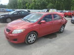 2010 Toyota Corolla Base Red vin: 2T1BU4EE4AC385157