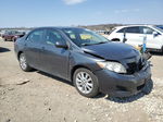 2010 Toyota Corolla Base Gray vin: 2T1BU4EE4AC411076