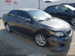 2010 Toyota Corolla S Gray vin: 2T1BU4EE4AC420859