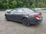 2010 Toyota Corolla Base Серый vin: 2T1BU4EE4AC505877