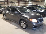 2010 Toyota Corolla Base Gray vin: 2T1BU4EE4AC508729