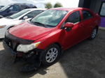 2010 Toyota Corolla Base Red vin: 2T1BU4EE5AC217172