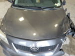 2010 Toyota Corolla Base Gray vin: 2T1BU4EE5AC468662