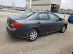 2010 Toyota Corolla Base Gray vin: 2T1BU4EE5AC482304