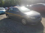 2010 Toyota Corolla Base Серый vin: 2T1BU4EE5AC517181