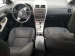 2010 Toyota Corolla Base Белый vin: 2T1BU4EE5AC517259