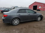 2010 Toyota Corolla Base Серый vin: 2T1BU4EE6AC216578