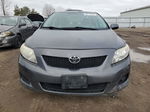 2010 Toyota Corolla Base Gray vin: 2T1BU4EE6AC310475