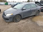 2010 Toyota Corolla Base Gray vin: 2T1BU4EE6AC310475