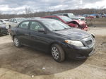 2010 Toyota Corolla Base Black vin: 2T1BU4EE6AC358445