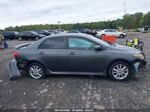 2010 Toyota Corolla S Gray vin: 2T1BU4EE6AC406333