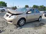 2010 Toyota Corolla Base Tan vin: 2T1BU4EE6AC431295