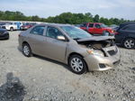 2010 Toyota Corolla Base Tan vin: 2T1BU4EE6AC431295