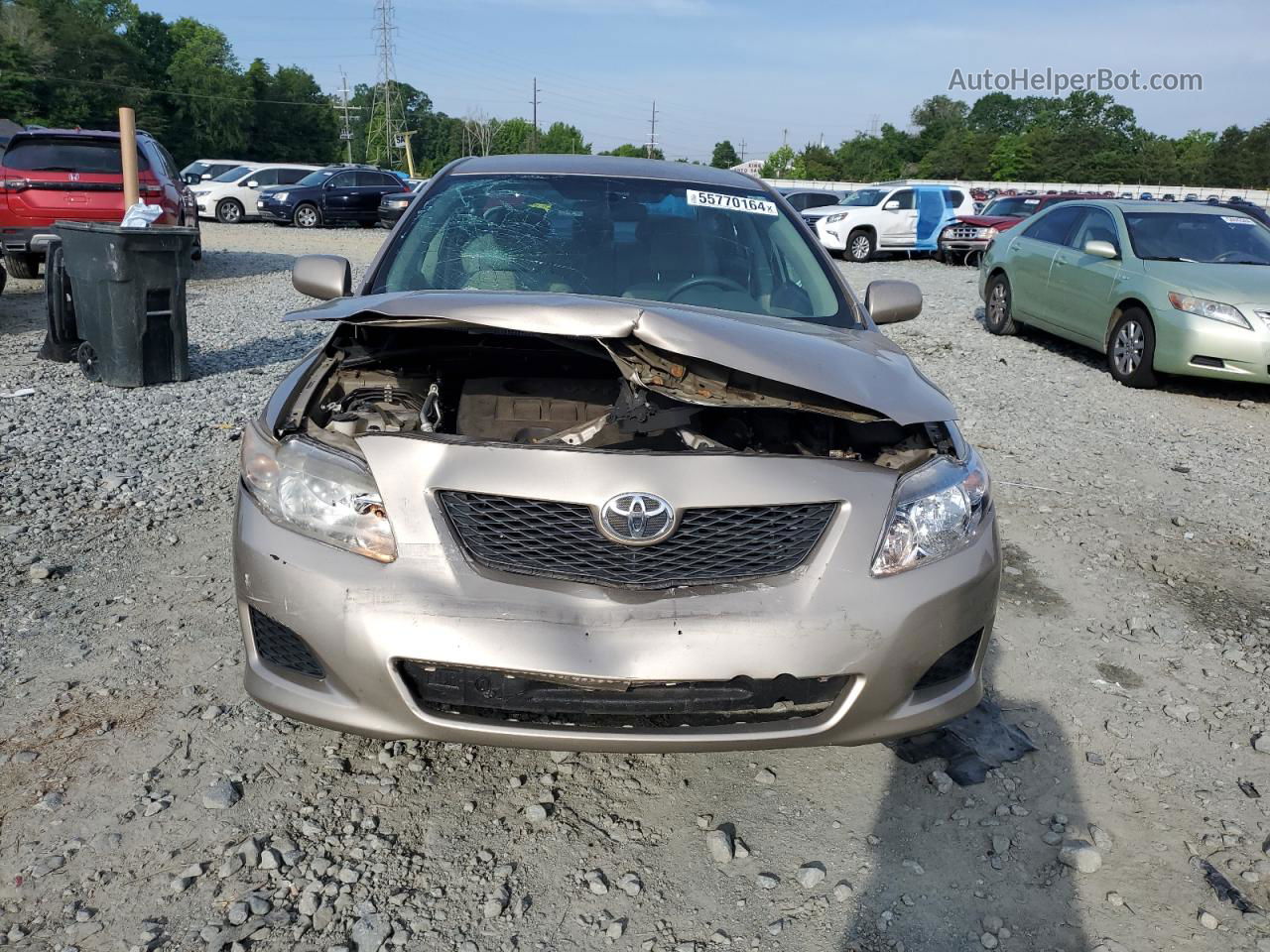 2010 Toyota Corolla Base Tan vin: 2T1BU4EE6AC431295