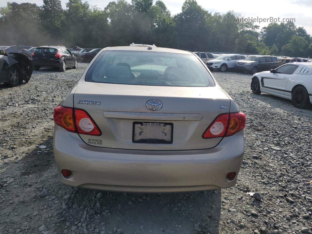 2010 Toyota Corolla Base Tan vin: 2T1BU4EE6AC431295