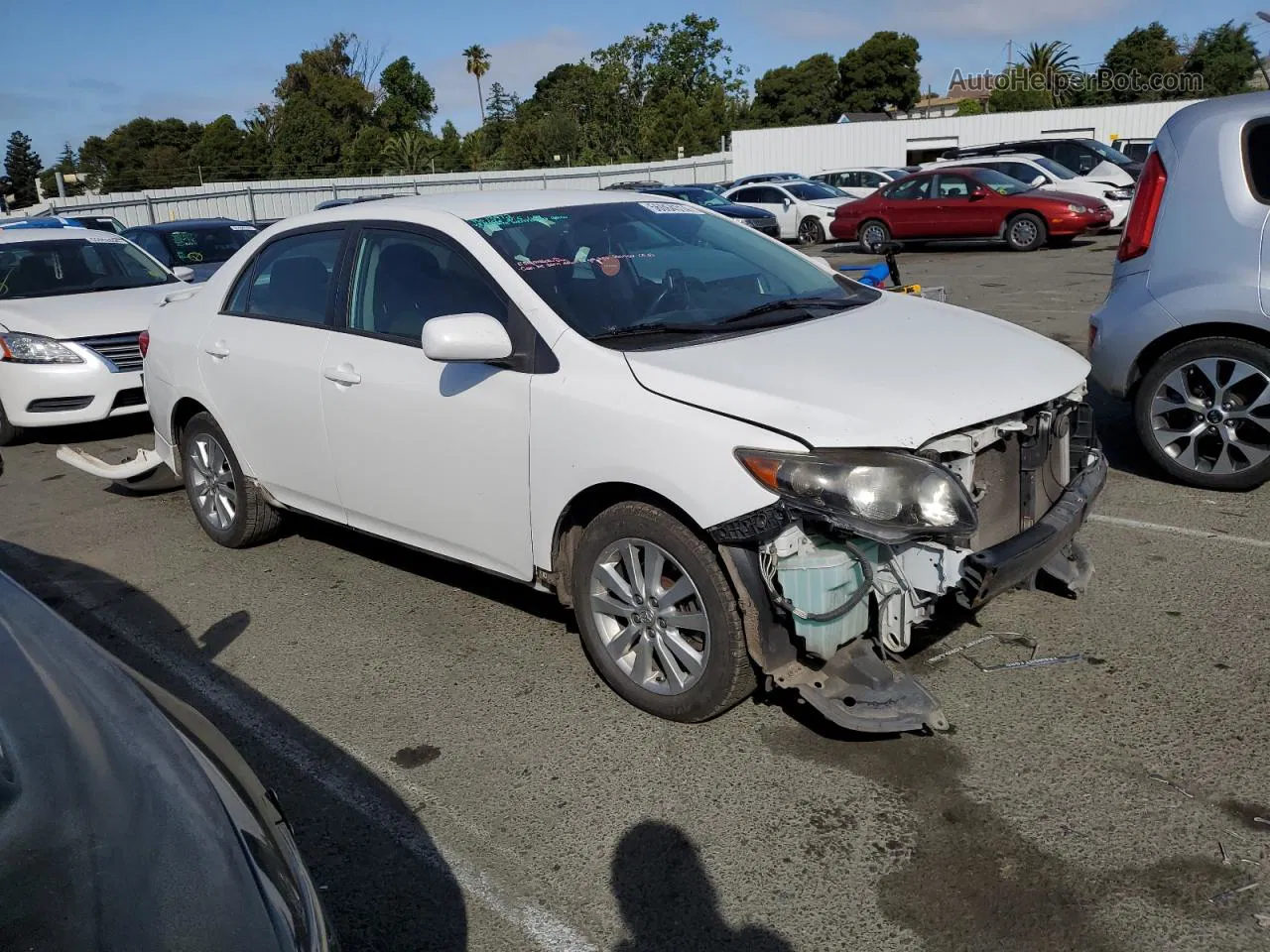 2010 Toyota Corolla Base White vin: 2T1BU4EE6AC469061