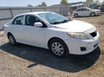 2010 Toyota Corolla Base White vin: 2T1BU4EE7AC311618