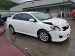 2010 Toyota Corolla Base White vin: 2T1BU4EE7AC434402