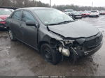 2010 Toyota Corolla   Gray vin: 2T1BU4EE7AC461695