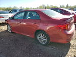 2010 Toyota Corolla Base Red vin: 2T1BU4EE7AC478660