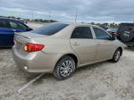 2010 Toyota Corolla Base Золотой vin: 2T1BU4EE7AC487794