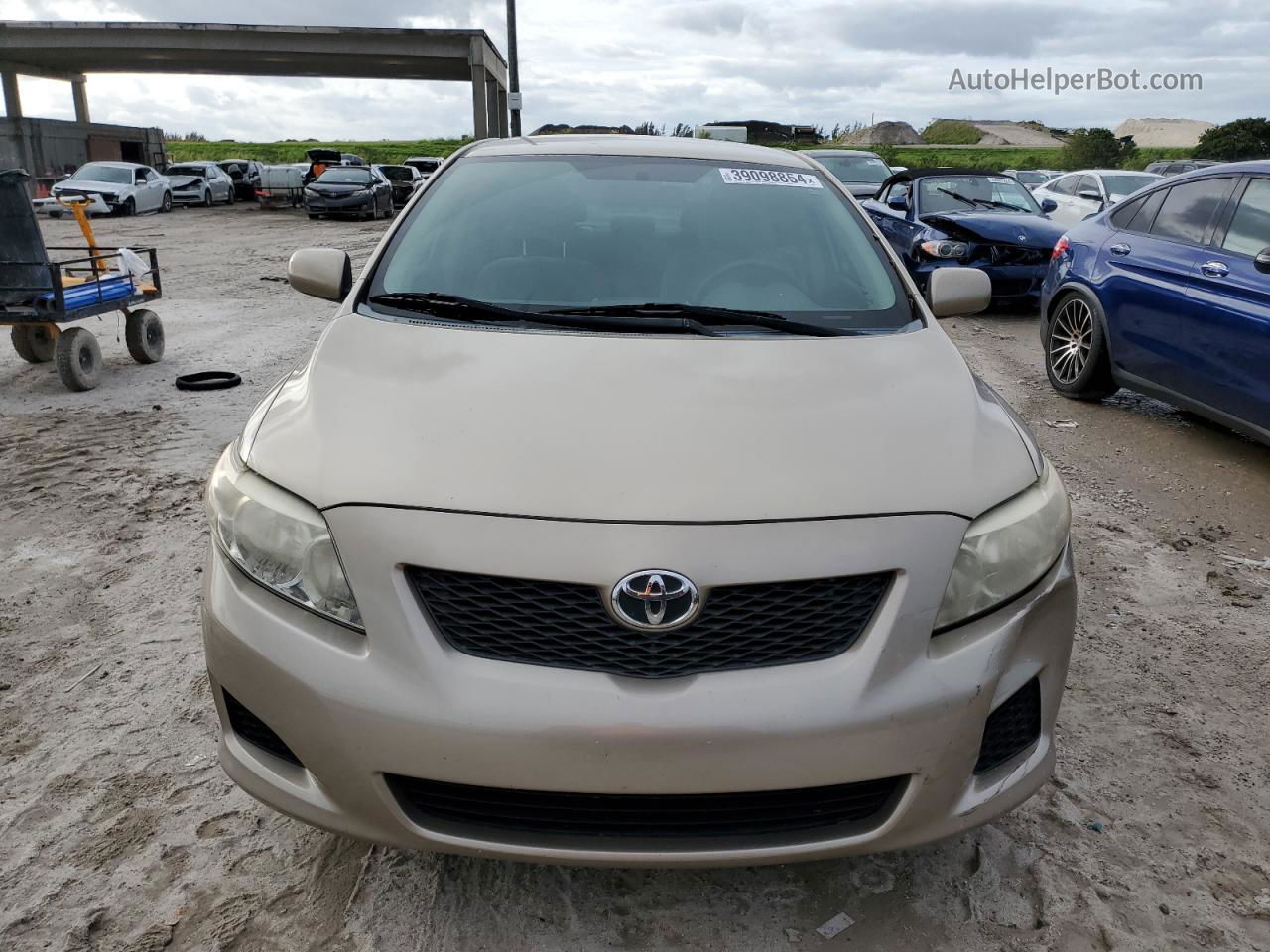 2010 Toyota Corolla Base Gold vin: 2T1BU4EE7AC487794