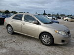 2010 Toyota Corolla Base Золотой vin: 2T1BU4EE7AC487794