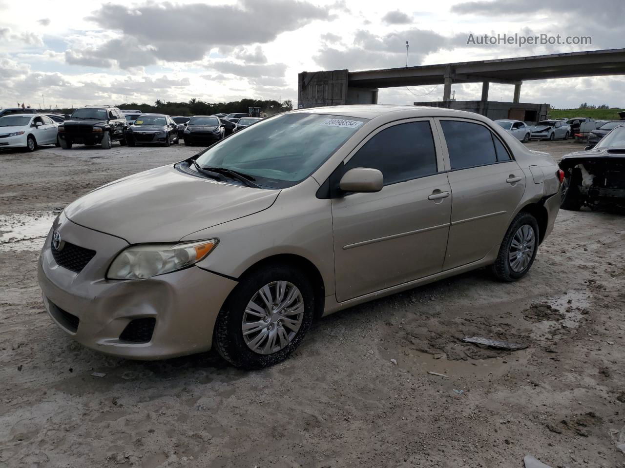 2010 Toyota Corolla Base Gold vin: 2T1BU4EE7AC487794