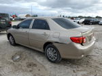 2010 Toyota Corolla Base Gold vin: 2T1BU4EE7AC487794