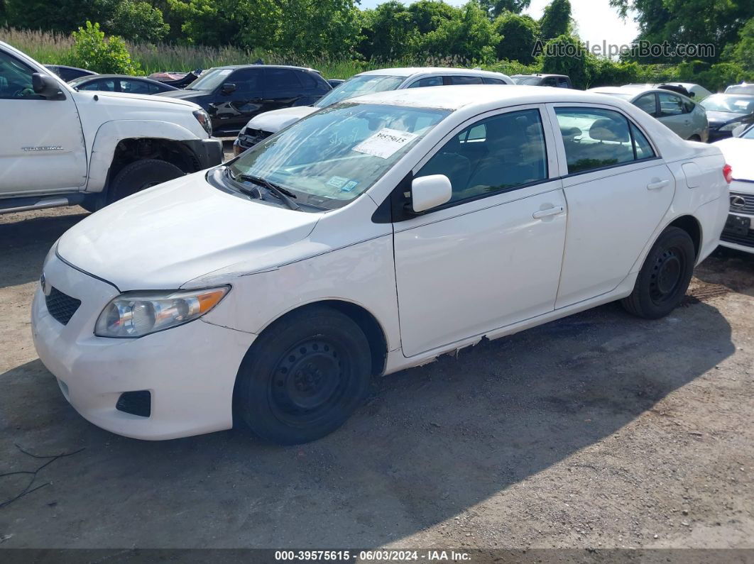 2010 Toyota Corolla Le White vin: 2T1BU4EE7AC532359