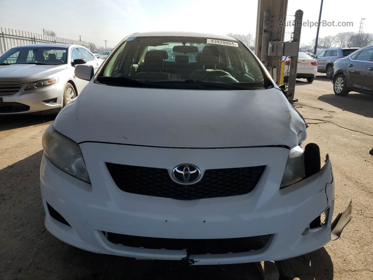 2010 Toyota Corolla Base White vin: 2T1BU4EE8AC282324